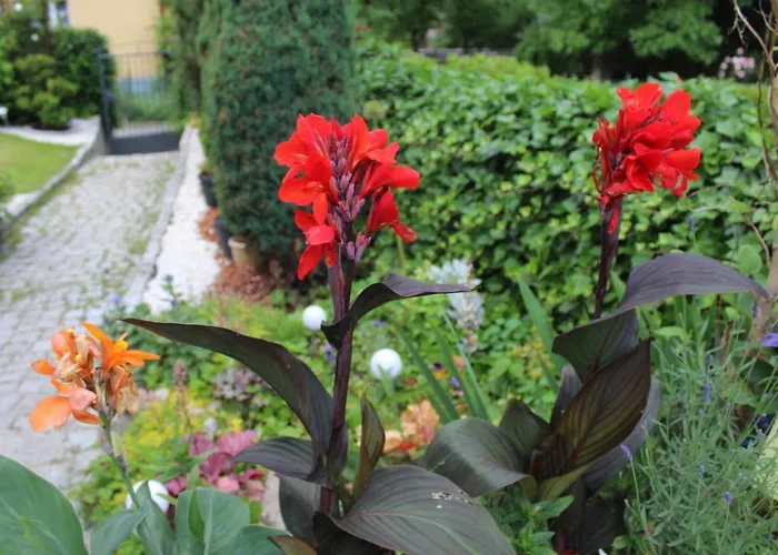 Accommodatie bij particulieren ,,gosia